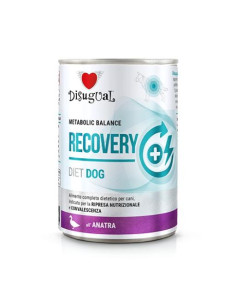 Disugual Recovery Pato - 400g