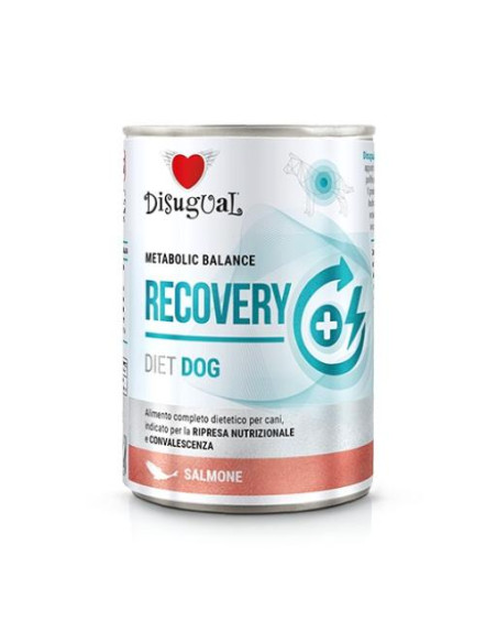 Disugual Recovery Salmón - 400g