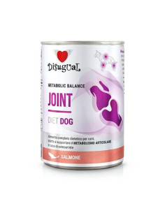 Disugual Joint Articulaciones Salmón - 400g