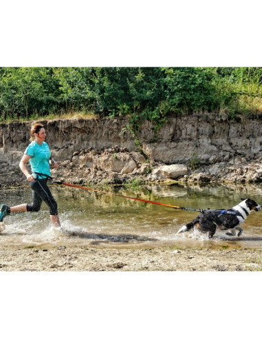 Non Stop línea de tiro Canicross Bungee Leash