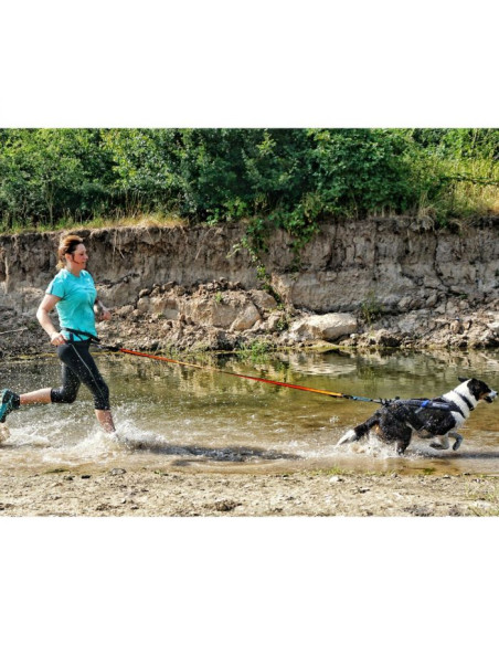 Non Stop línea de tiro Canicross Bungee Leash