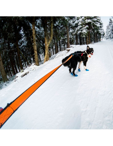 Non Stop línea de tiro Canicross Bungee Leash