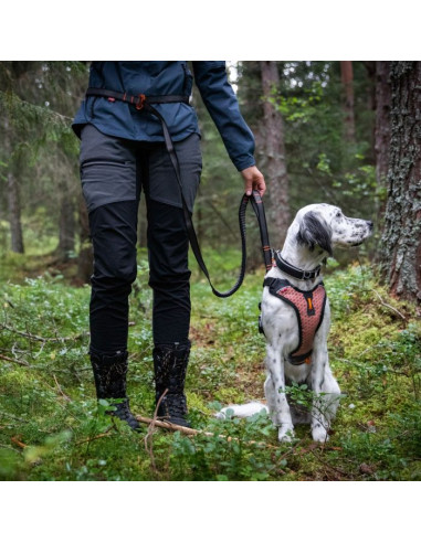 Non stop correa ajustable Touring Bungee adjustable