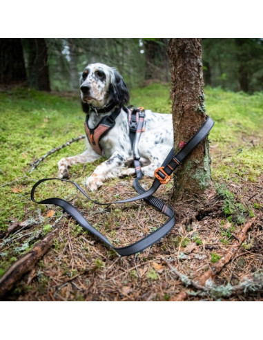 Non stop correa ajustable Touring Bungee adjustable