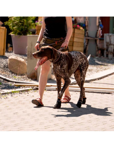 Non Stop patucos protectores Protector Bootie