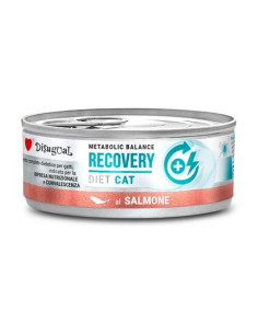 Disugual Recovery Salmón - 85g