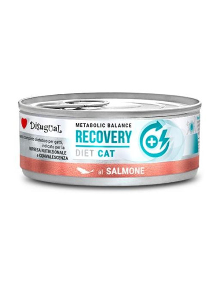 Disugual Recovery Salmón - 85g