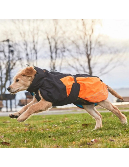 Compra Non Stop Abrigo Glacier Jacket 2.0 en Canexion al Mejor